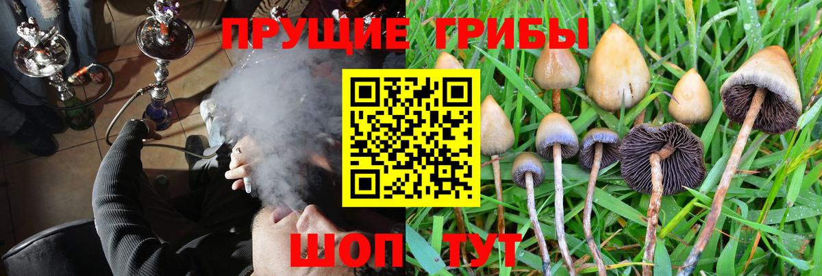 Псилоцибиновые грибы Psilocybine cubensis  Вход с VPN  Михайловск  где можно купить наркотик  Галлюциногенные грибы Magic Shrooms 