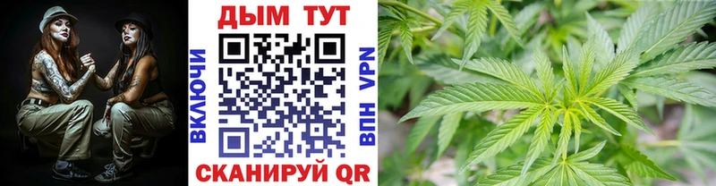 MEGA сайт  Михайловск  Конопля Amnesia 